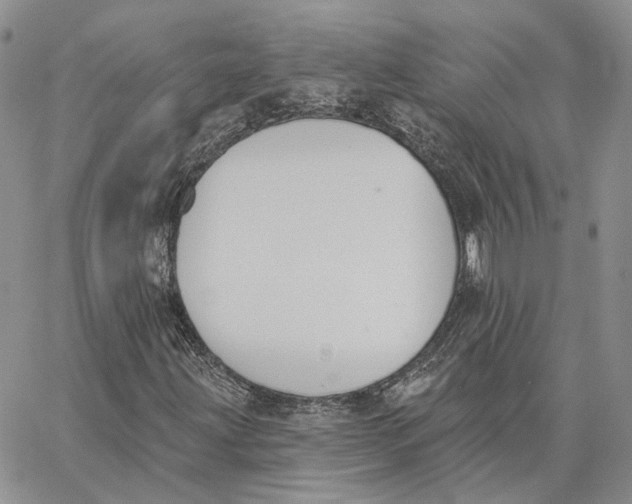 X0000062841203200602031553