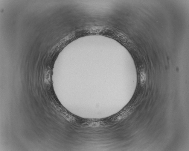 X0000062841204200602031553