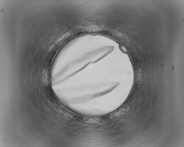 X0000062841205200602031553