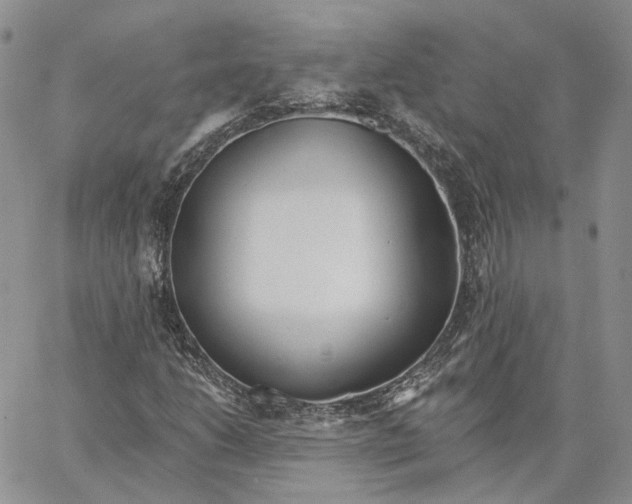 X0000062841206200602031553