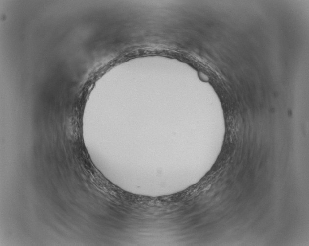 X0000062841207200602031553