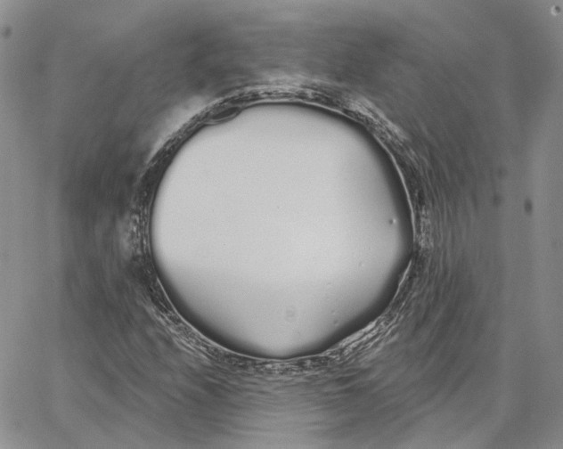 X0000062841208200602031553