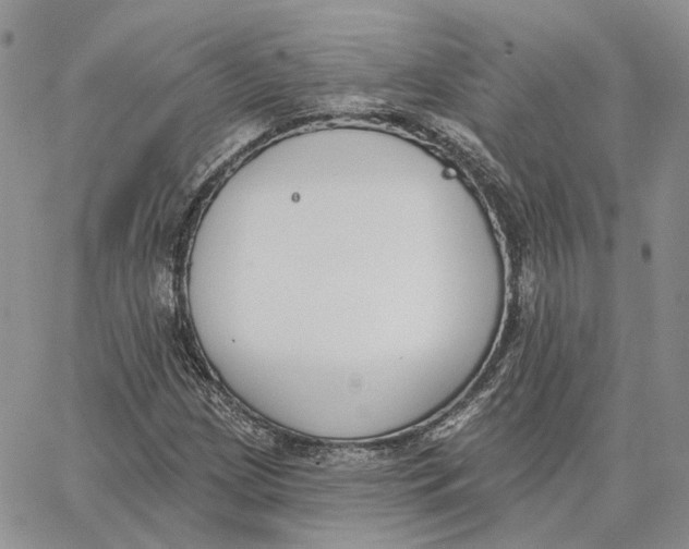 X0000062841209200602031553