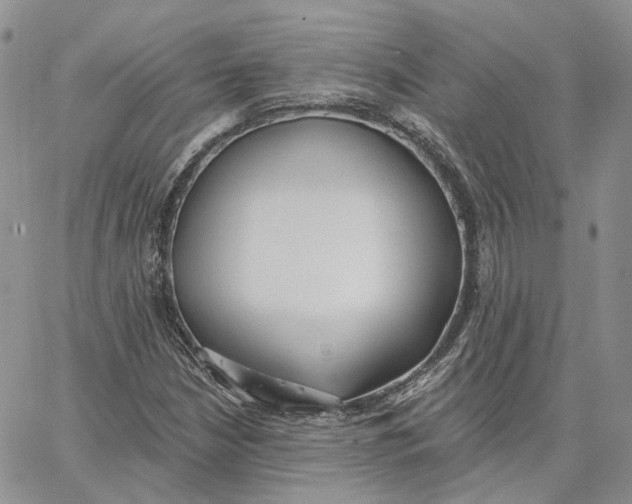 X0000062841210200602031553