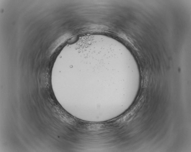 X0000062841211200602031553