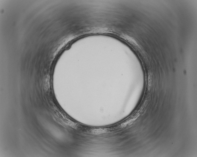 X0000062841212200602031553