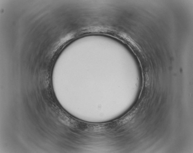 X0000062841213200602031553