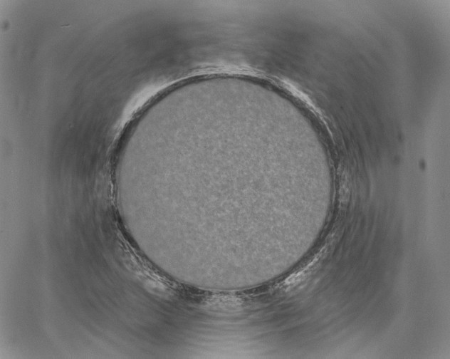 X0000062841215200602031553