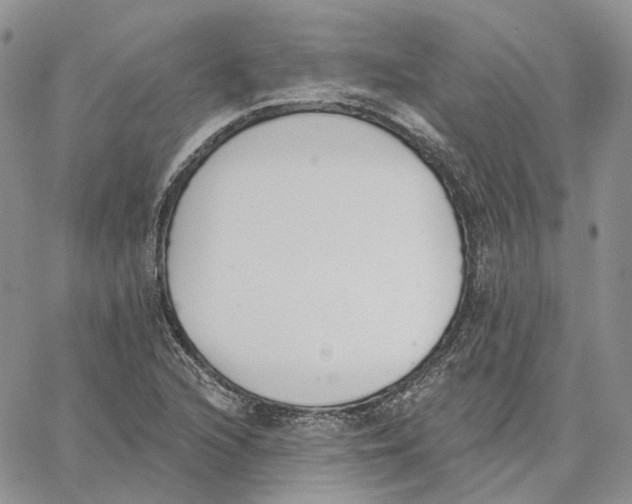 X0000062841216200602031553