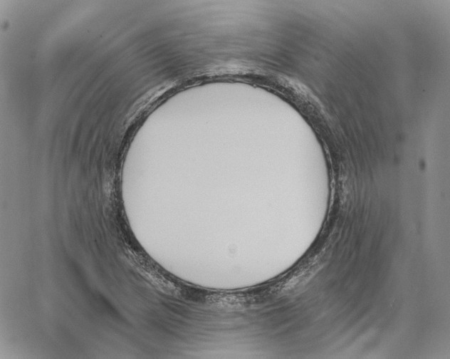 X0000062841217200602031553