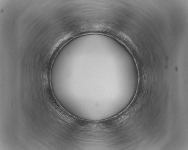 X0000062841218200602031553