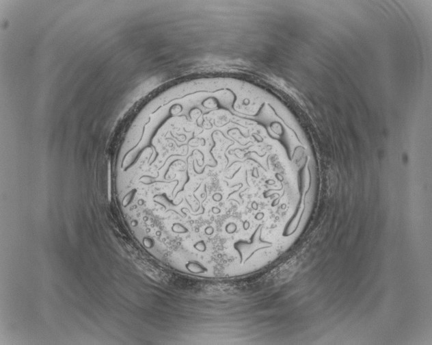 X0000062841219200602031553