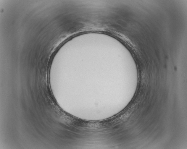 X0000062841220200602031553