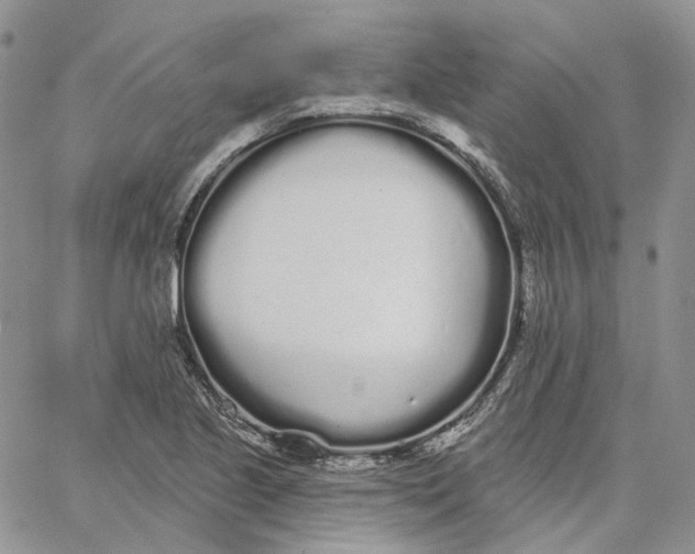 X0000062841221200602031553