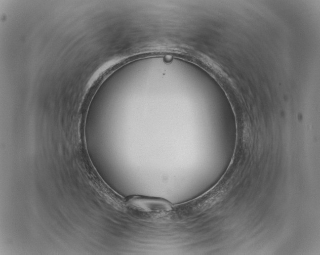 X0000062841222200602031554