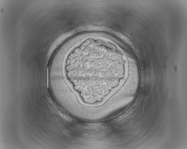 X0000062841223200602031554