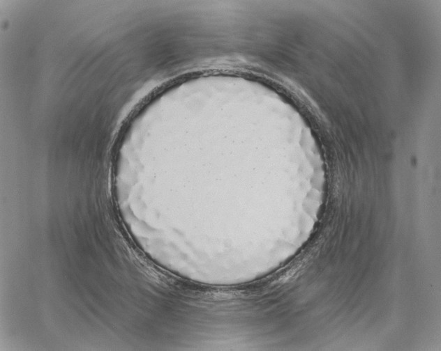 X0000062841224200602031554