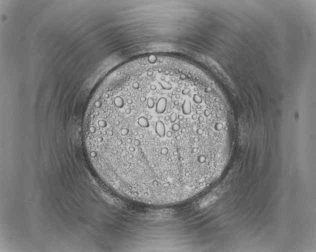 X0000062841225200602031554