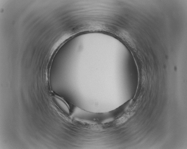 X0000062841226200602031554