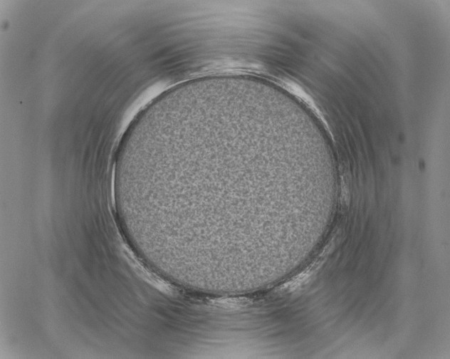 X0000062841227200602031554