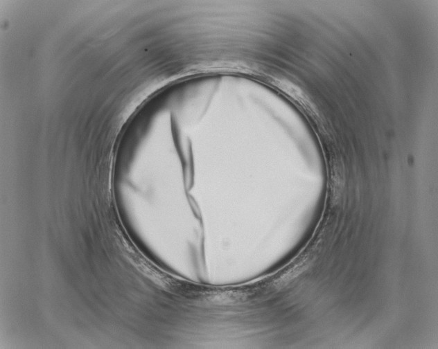 X0000062841228200602031554