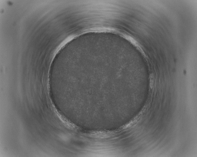 X0000062841229200602031554