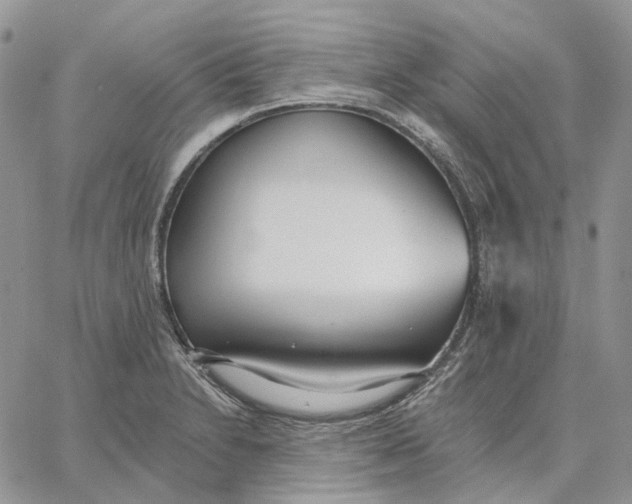 X0000062841230200602031554