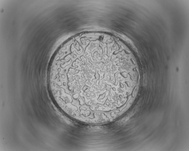 X0000062841231200602031554