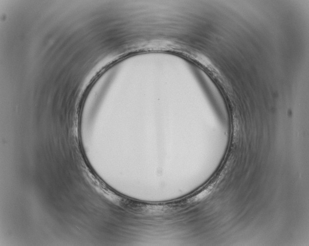 X0000062841232200602031554