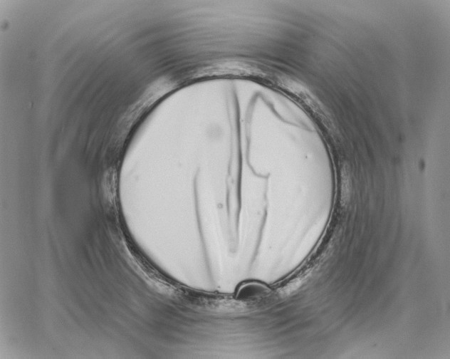 X0000062841233200602031554