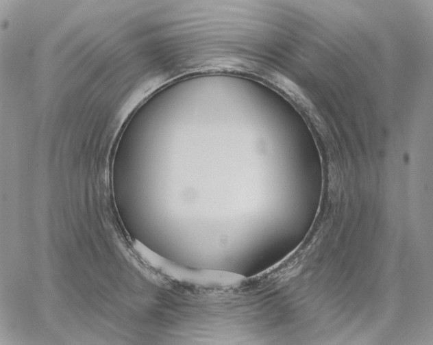 X0000062841234200602031554