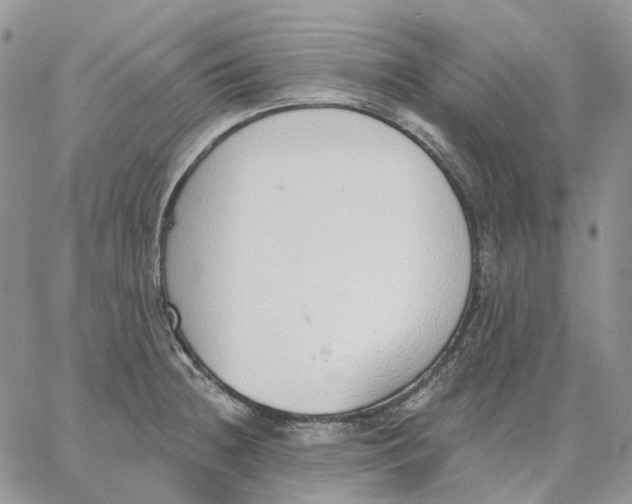 X0000062841236200602031554