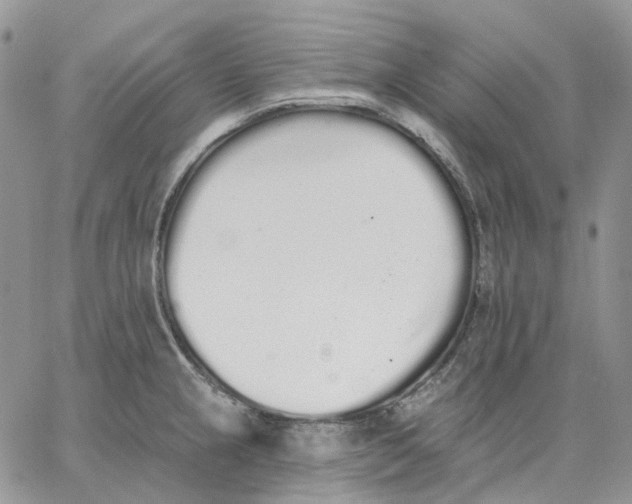 X0000062841237200602031554