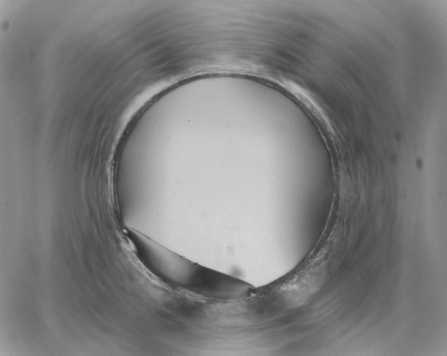 X0000062841238200602031554