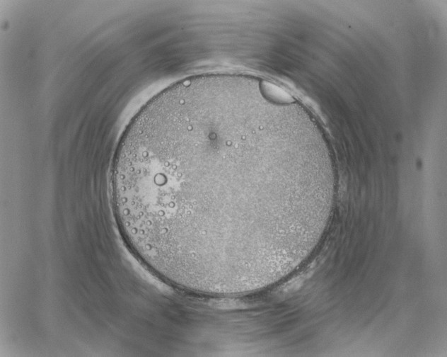 X0000062841239200602031554