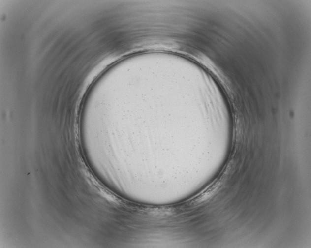 X0000062841240200602031554