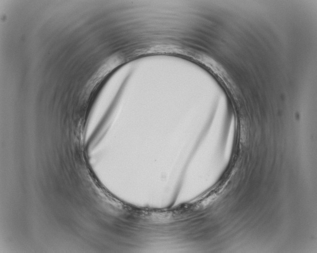 X0000062841241200602031554