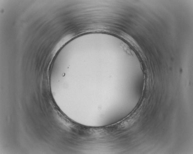 X0000062841242200602031554