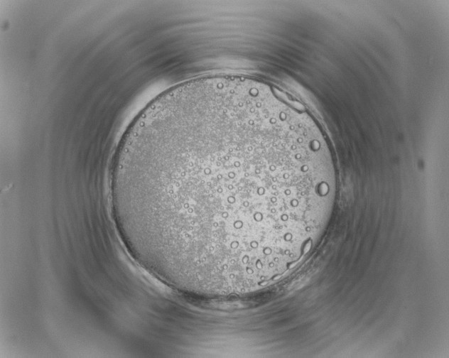 X0000062841243200602031554