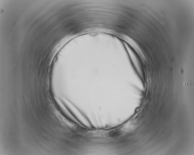 X0000062841244200602031554