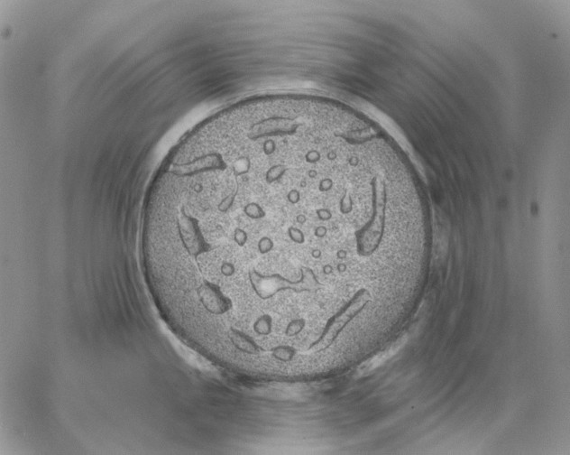 X0000062841245200602031554