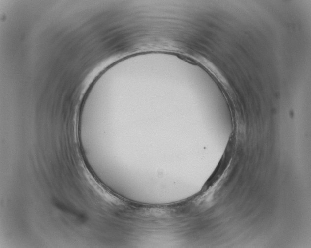 X0000062841246200602031554