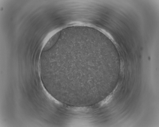 X0000062841247200602031554