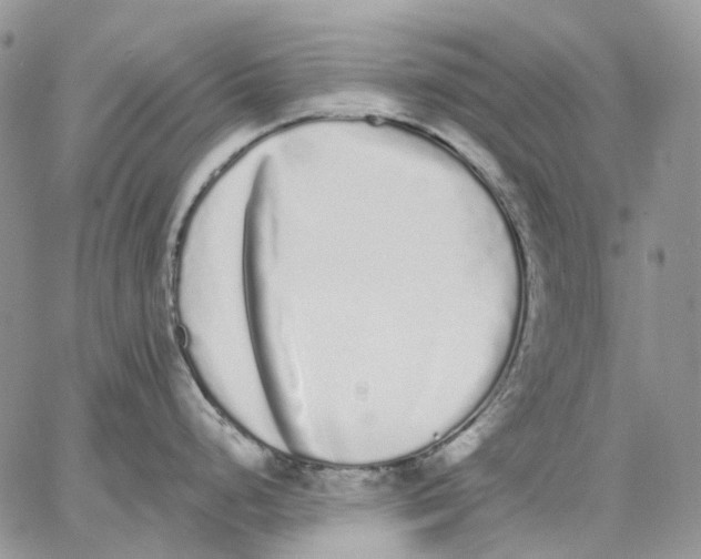 X0000062841248200602031554