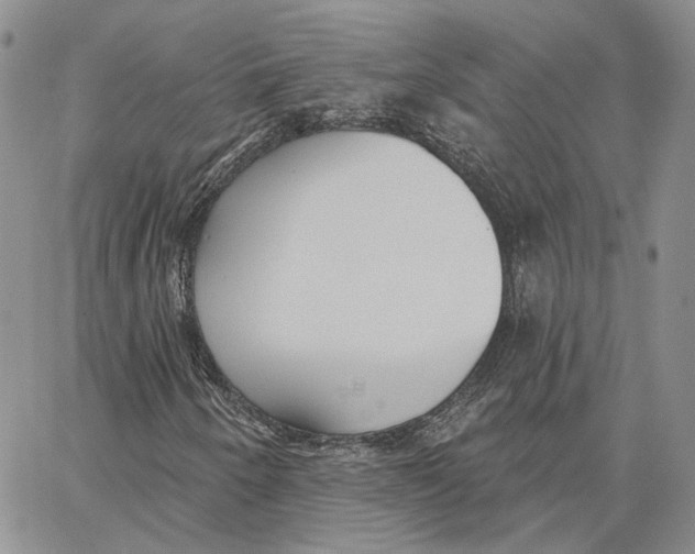 X0000062841250200602031553