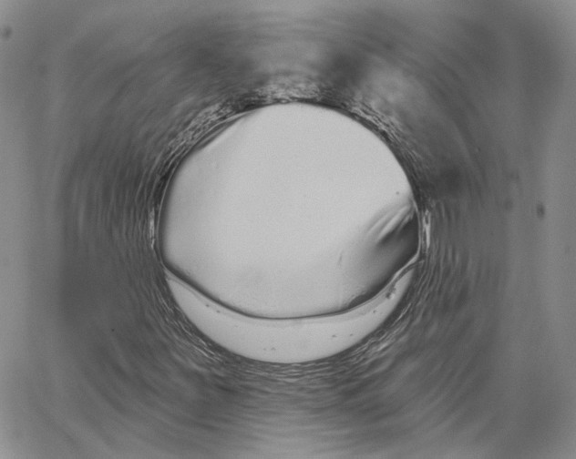 X0000062841251200602031553