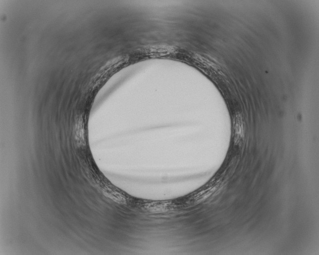 X0000062841252200602031553