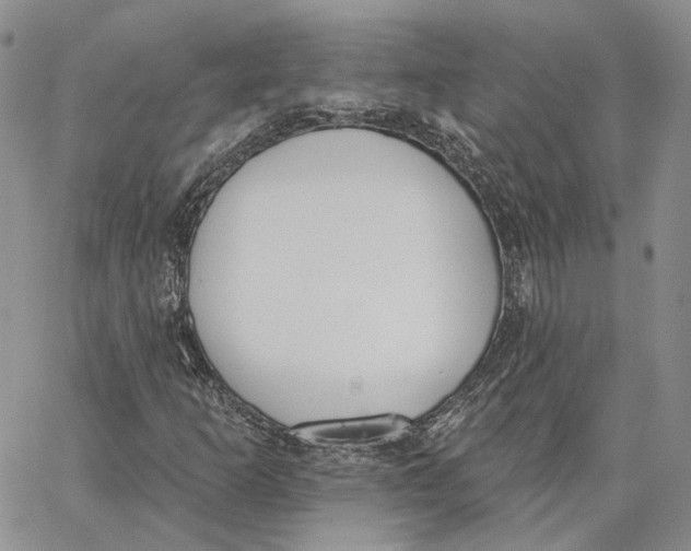 X0000062841253200602031553