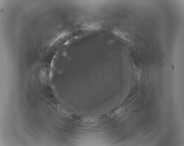 X0000062841254200602031553