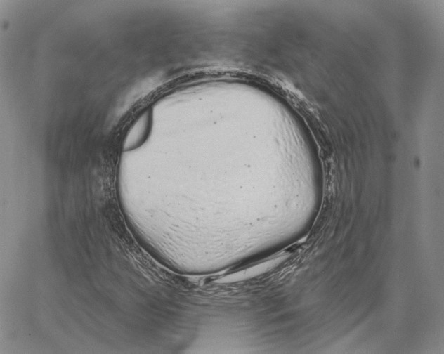 X0000062841255200602031553